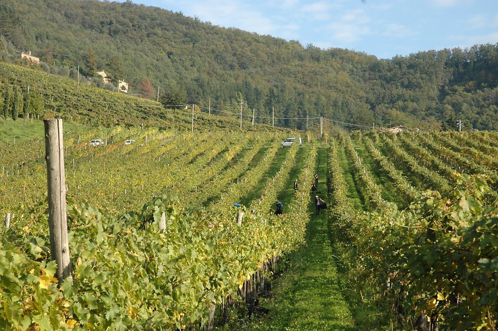 Fattoria Il Lago Dicomano エクステリア 写真